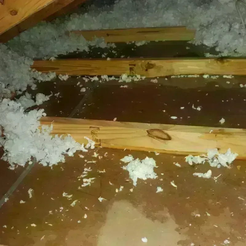 Attic Water Damage in Corinth, TX