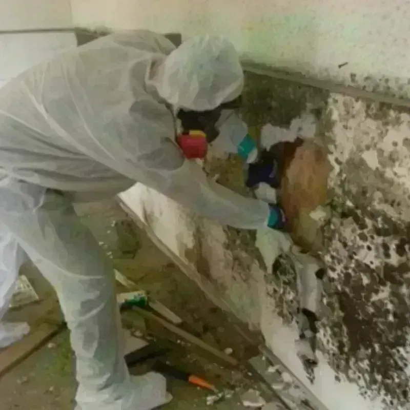 Mold Remediation and Removal in Corinth, TX