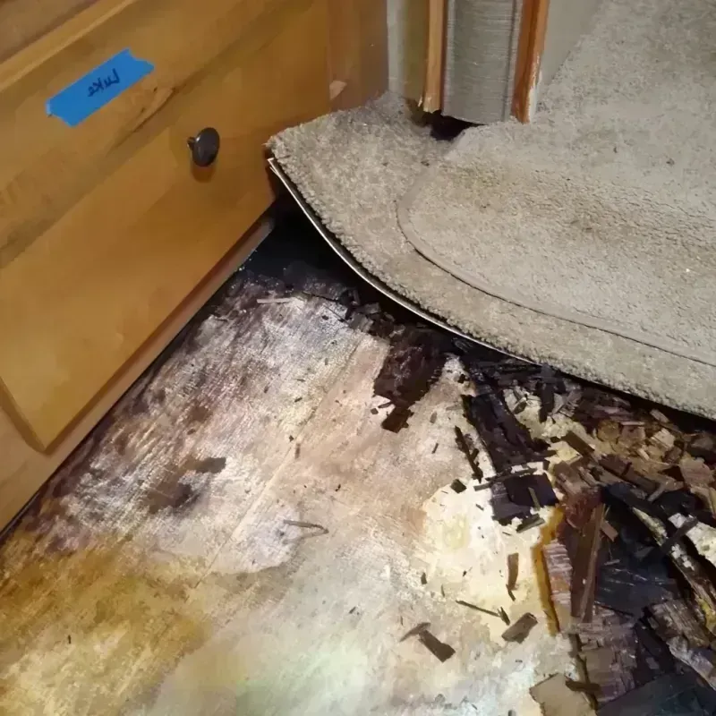 Wood Floor Water Damage in Corinth, TX